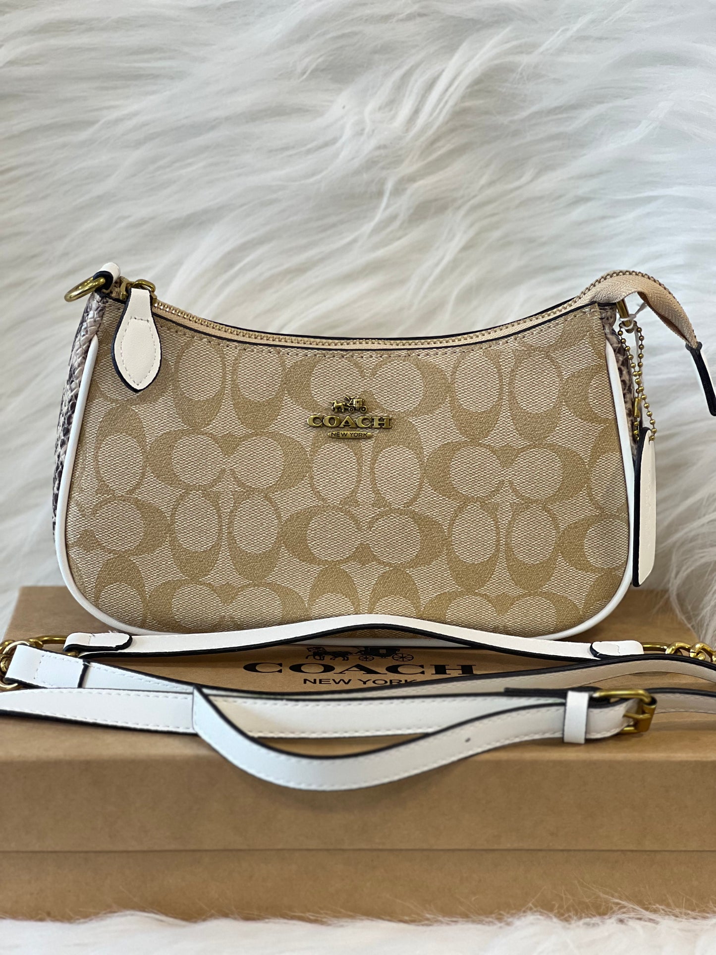 COACH BAG C6603 ( WITH BOX )
