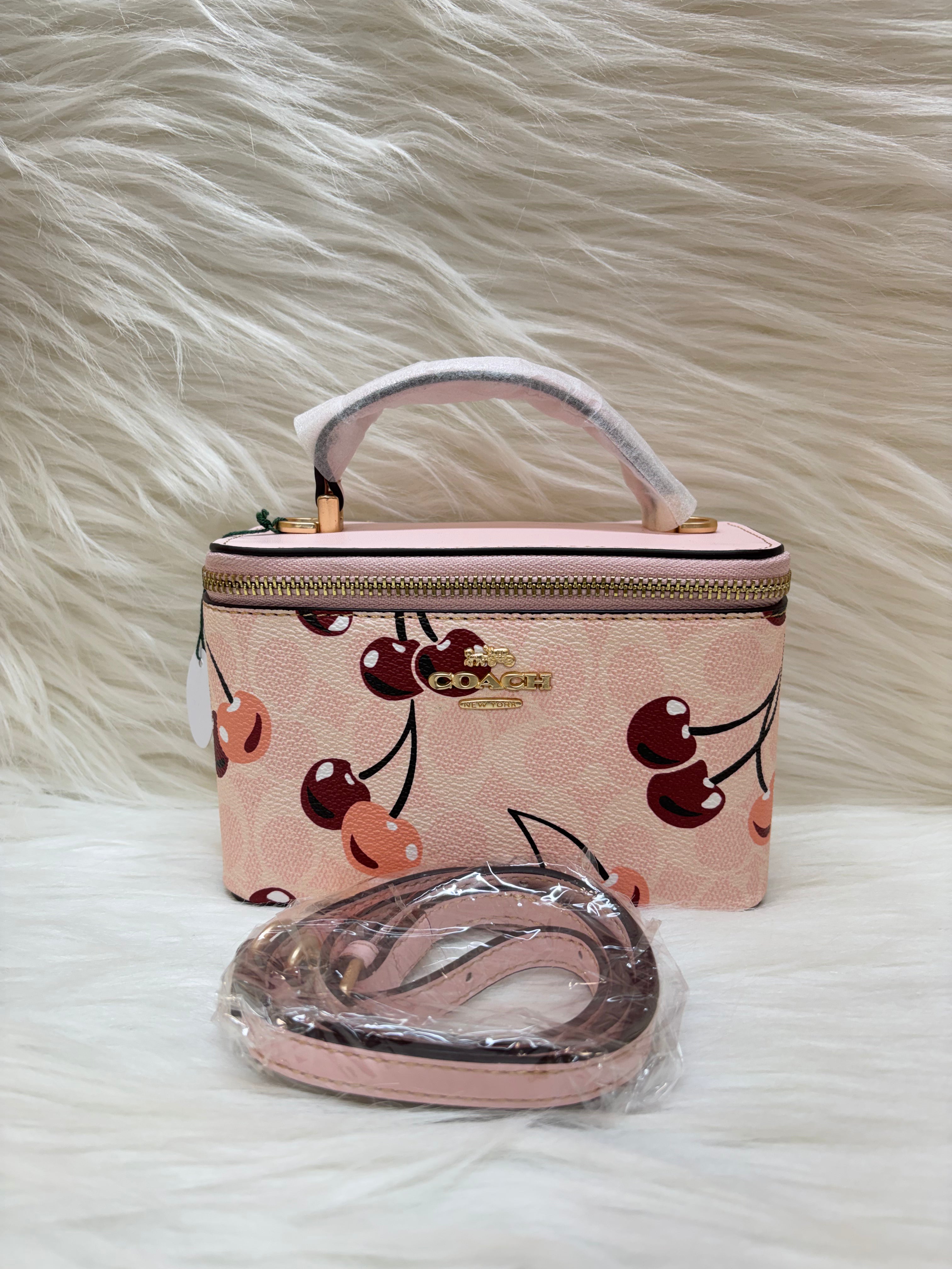 COACH PREMIUM HAND BAG TBS-000104