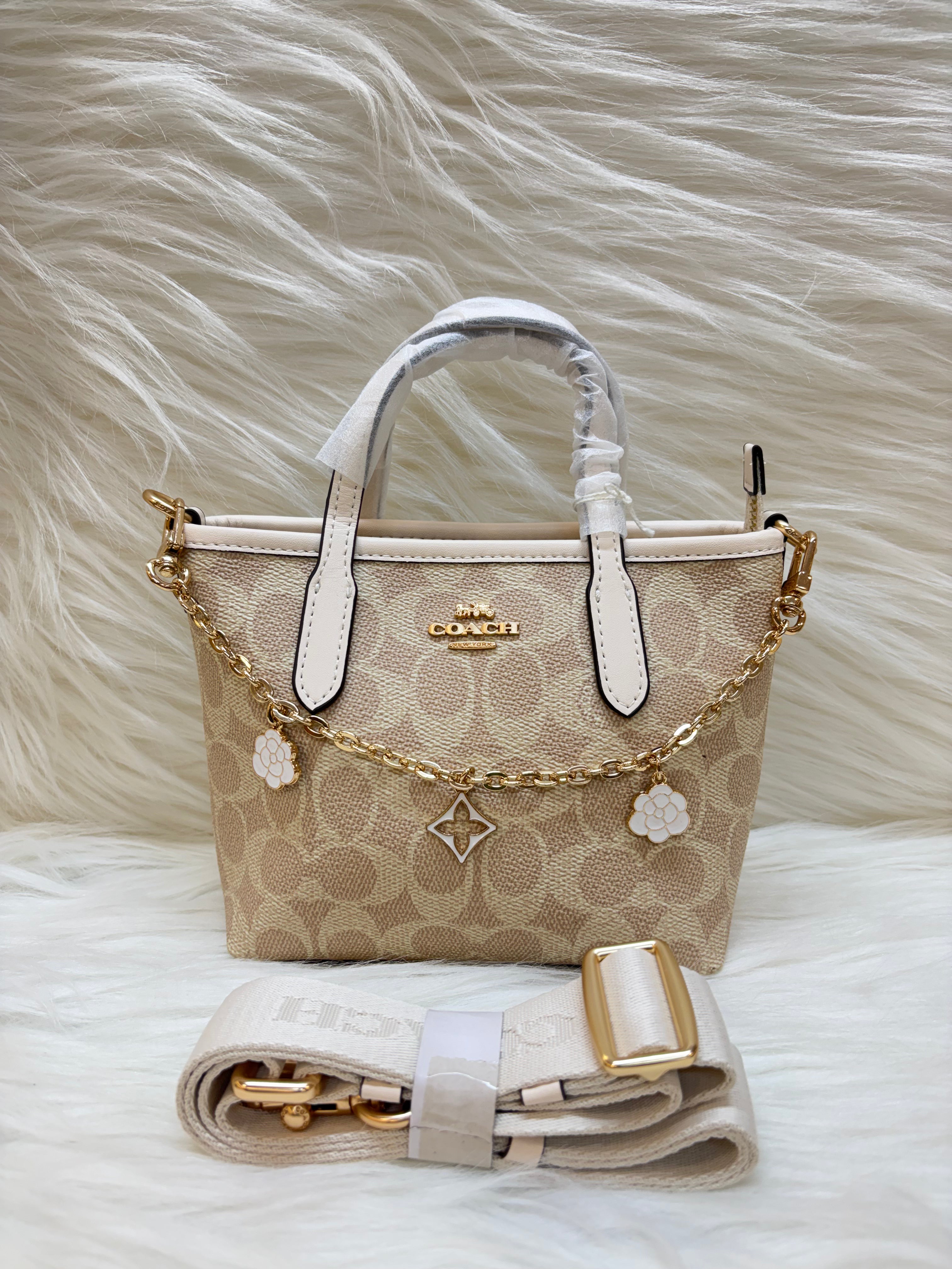 COACH SUPER PREMIUM HAND BAG TBS-00091