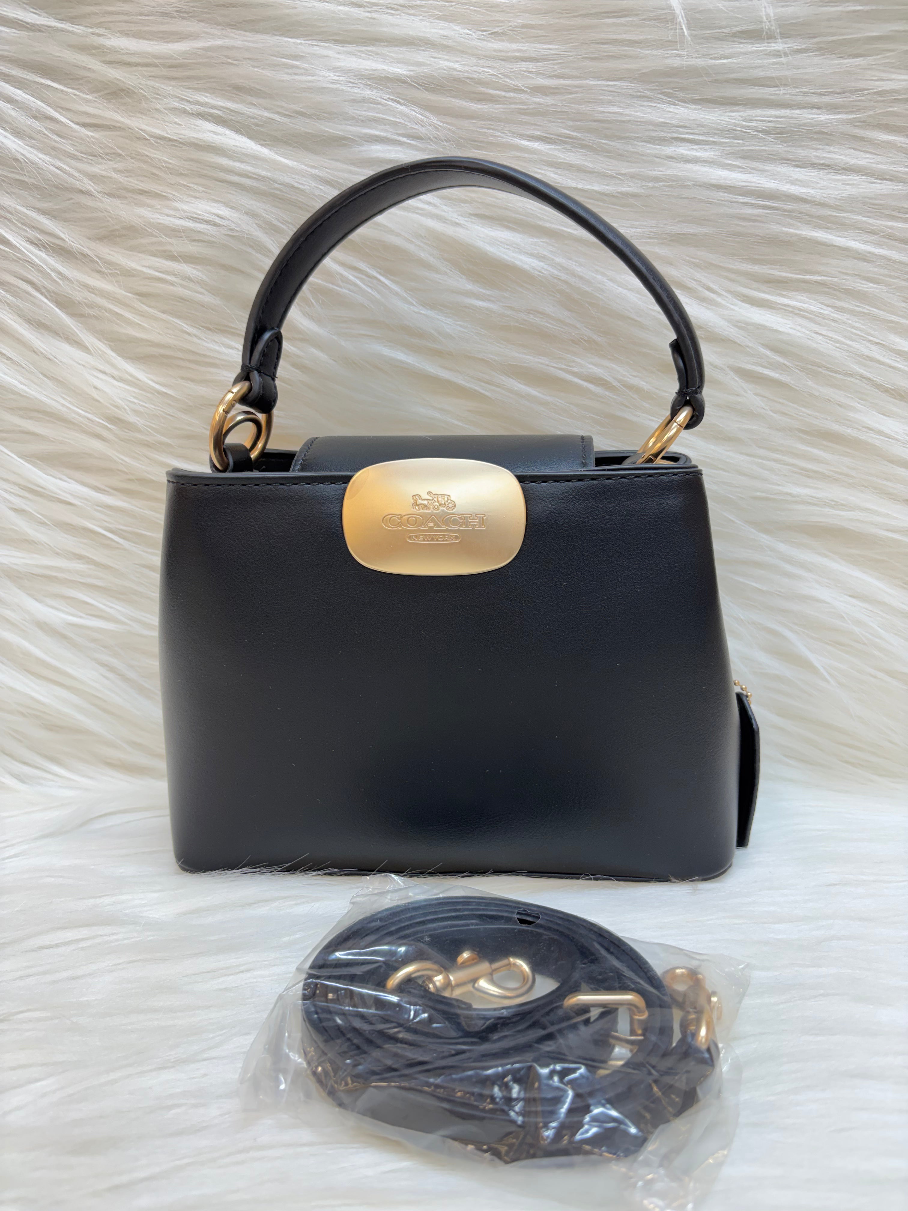 COACH PREMIUM SLING BAG TBS-000261