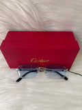 CARTIER SHADE/SUNGLASSES TBS-E3 BLUE