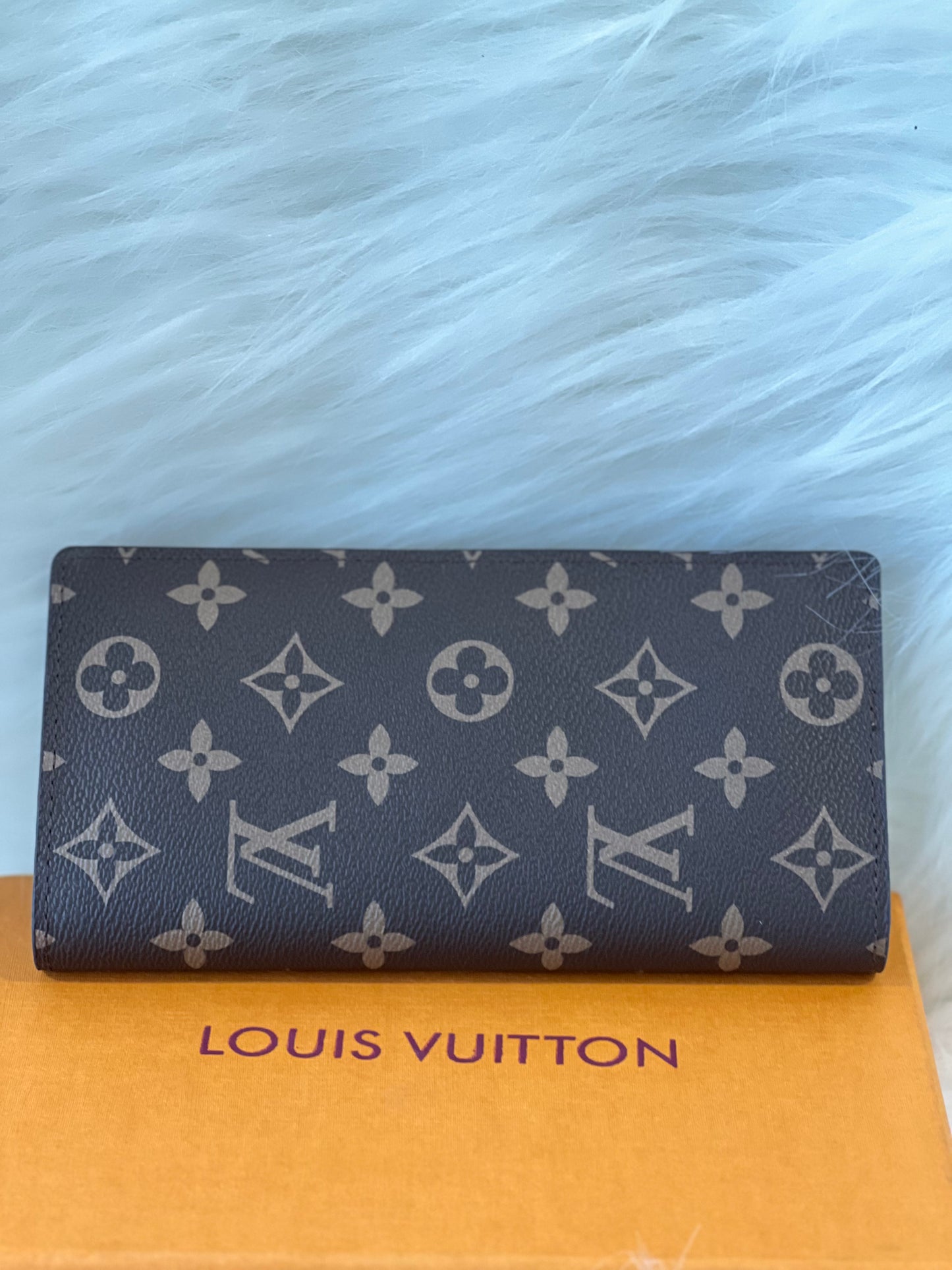 Louis Vuitton Push Lock  Wallets For Women ( With Box )