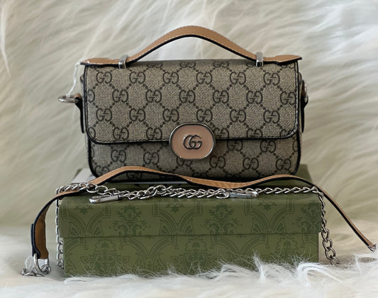 Guccii  Mini Shoulder Bag ( With Box )